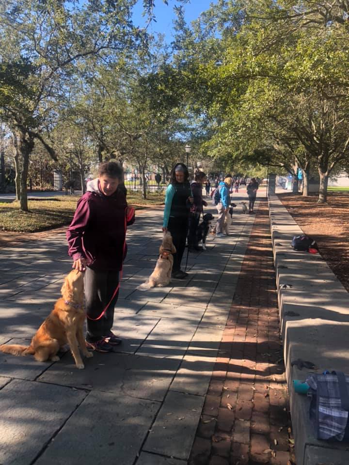 Handlers and dogs in class at Charleston Aquarium