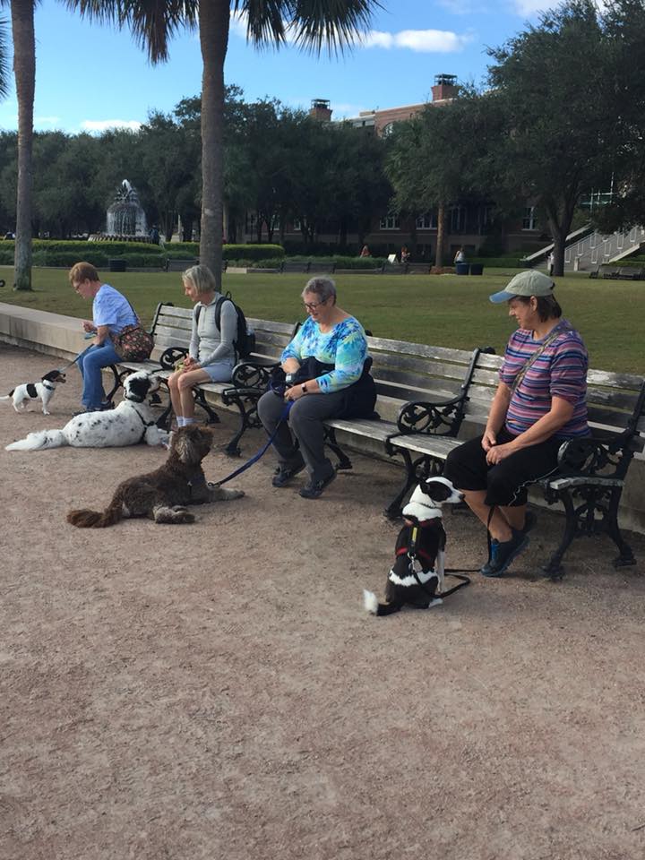 Dogs and handlers taking a break at Charleston Waterfront Park