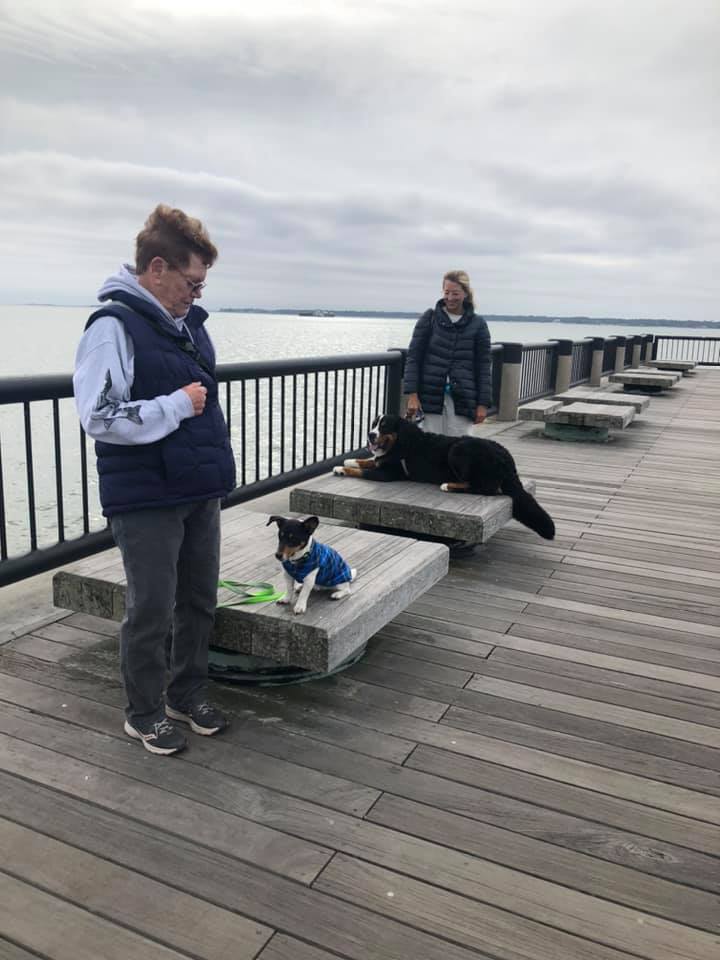 Large dog and small dog with their handlers by Charleston Harbor