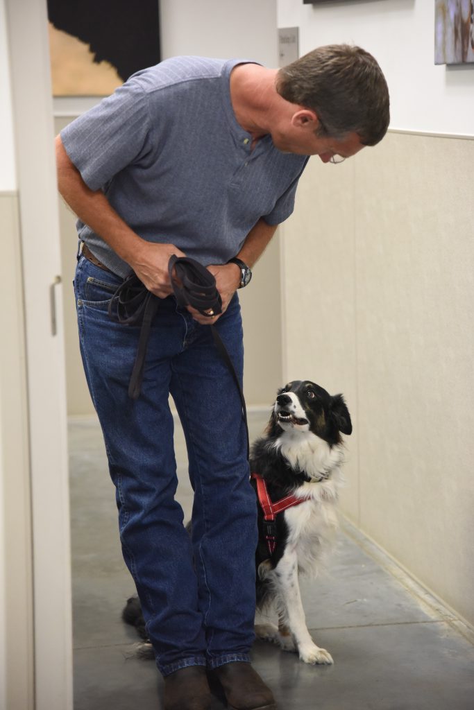 Handler and Border collie ready for a trial