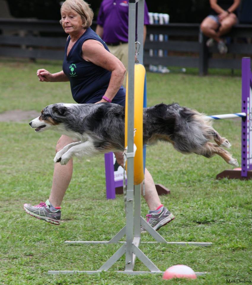 Cindy and her agility dog Tripp