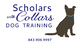 Scholars with collars