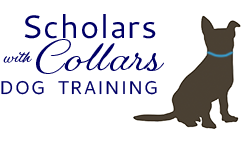 Scholars with collars